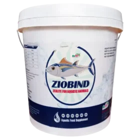 ziolite for aquatic animals.webp