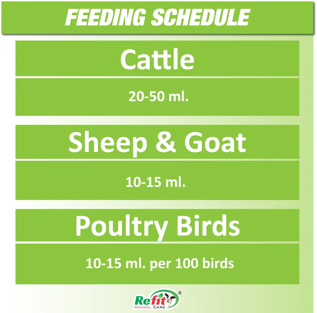 zymovet feeding.webp