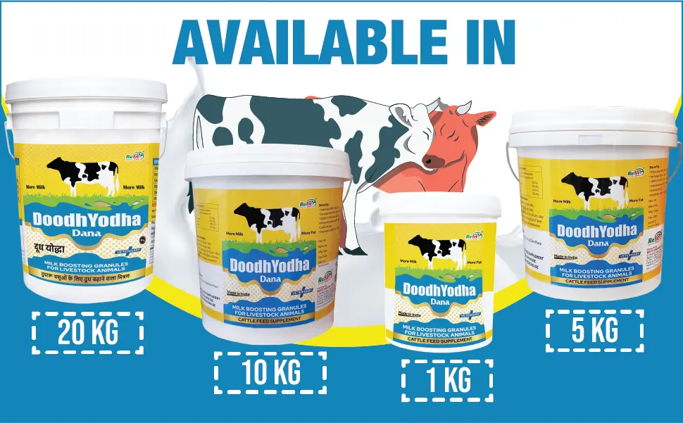 animal feed supplement animal feed supplement