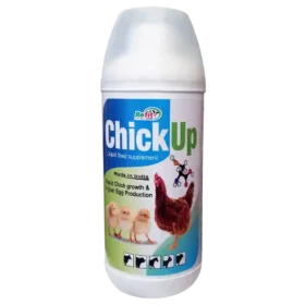 growth promoter for chicks 1536x1536 1 1.webp