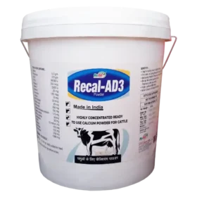 10 kg 1.webp