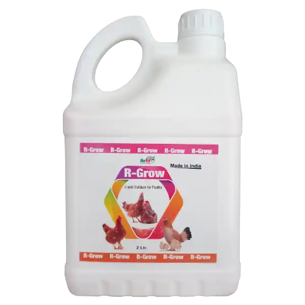 2 ltr 1.webp