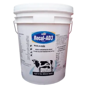 20 kg 2.webp