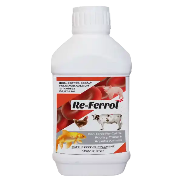 500 ml 2.webp
