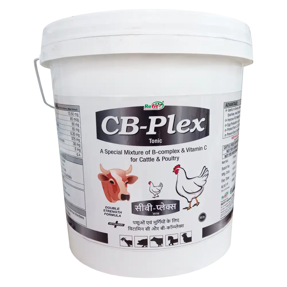 CB Plex 10 Ltr.webp