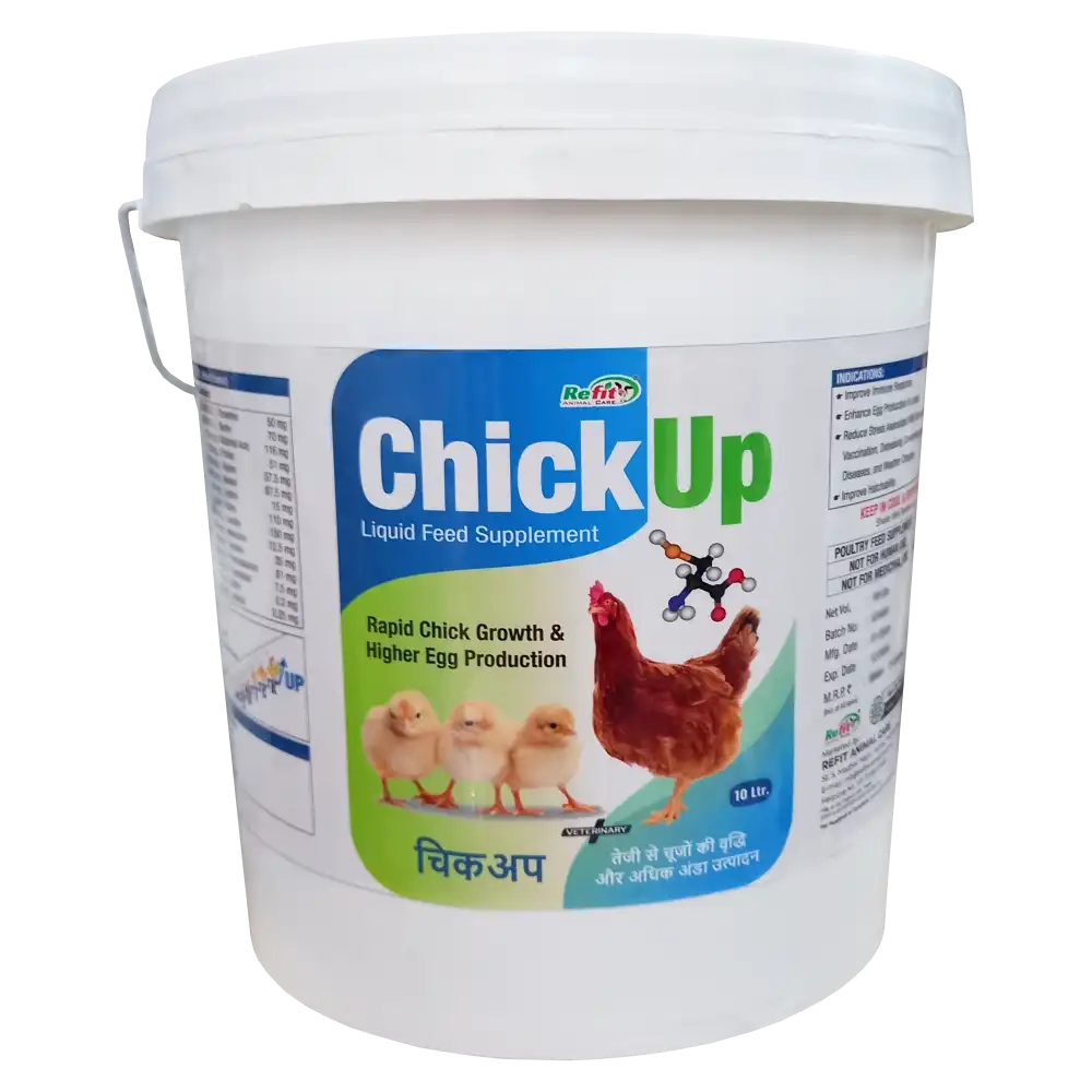 Chickup 10 Ltr.webp