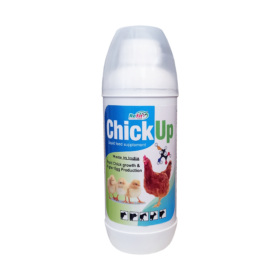 Chickup 250