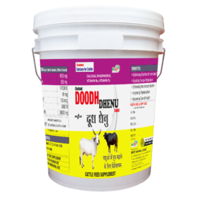 Doodh Dhenu 20 Ltr