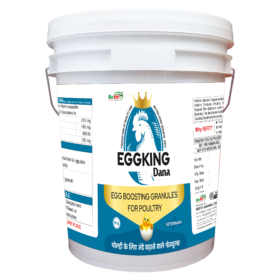 Eggking 20 kg