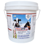 Freezlyte 5 Kg.png