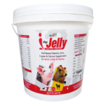 I Jelly 10 Kg