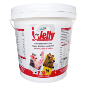 I Jelly 10 Kg