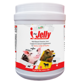 I Jelly 1kg