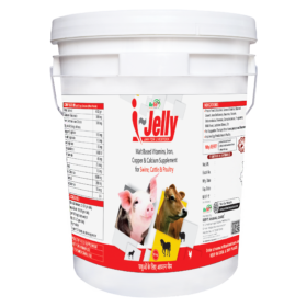 I Jelly 20Kg