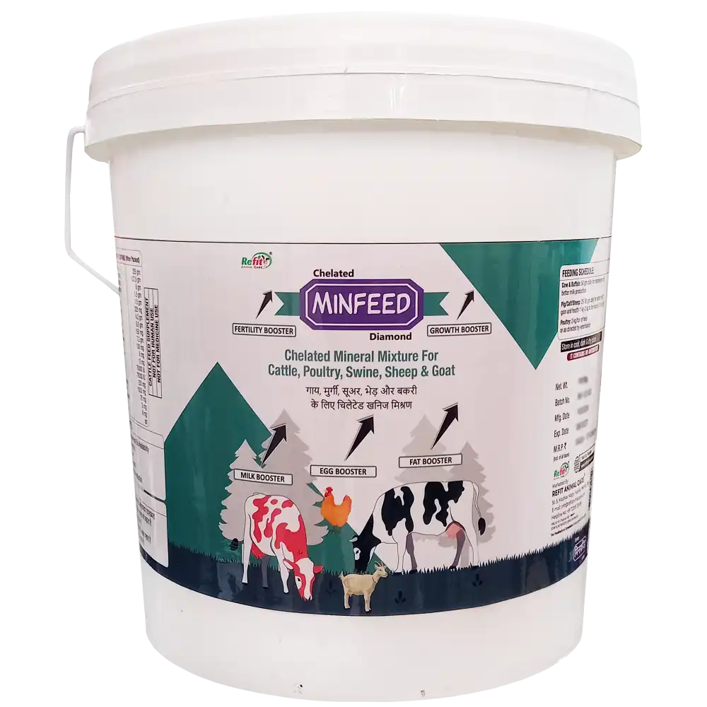 Minfeed Diamond Mineral Mixture.webp
