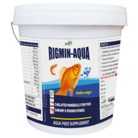 Rigmin Aqua New 10kg