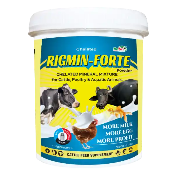 Rigmin Forte Chelated Mineral Mixture 1 kg.webp