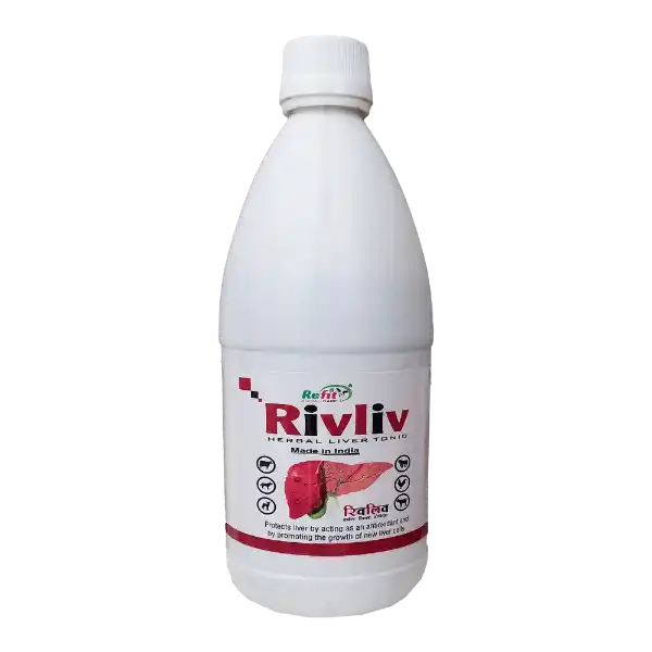 Rivliv Herbal Liver Tonic For Cattle Poultry 500 ml.webp