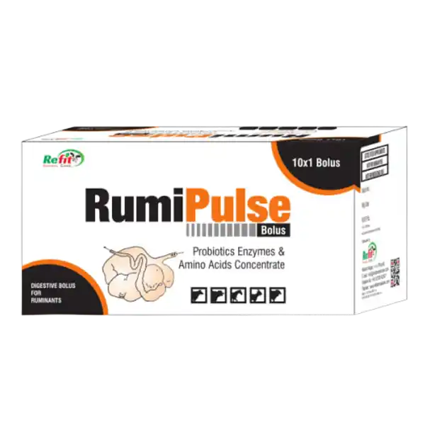 Rumipulse Digestive Bolus For Cow Cattle Buffalo 10 Bolus Pack.webp