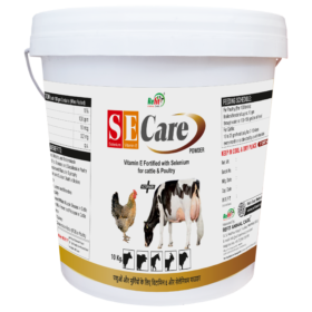 SE Care 10kg