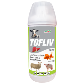 Tofliv
