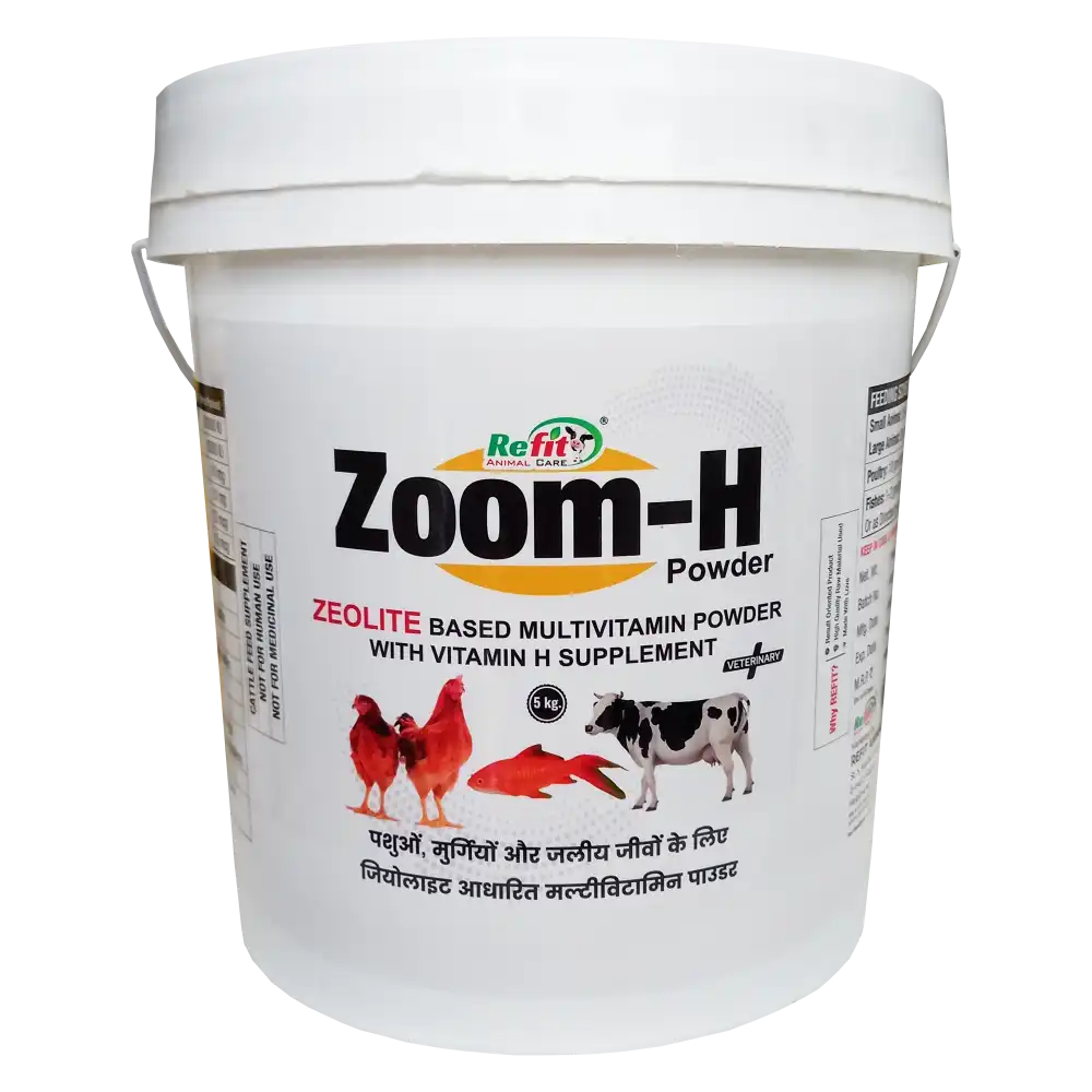 Zoom H 5 Kg.webp