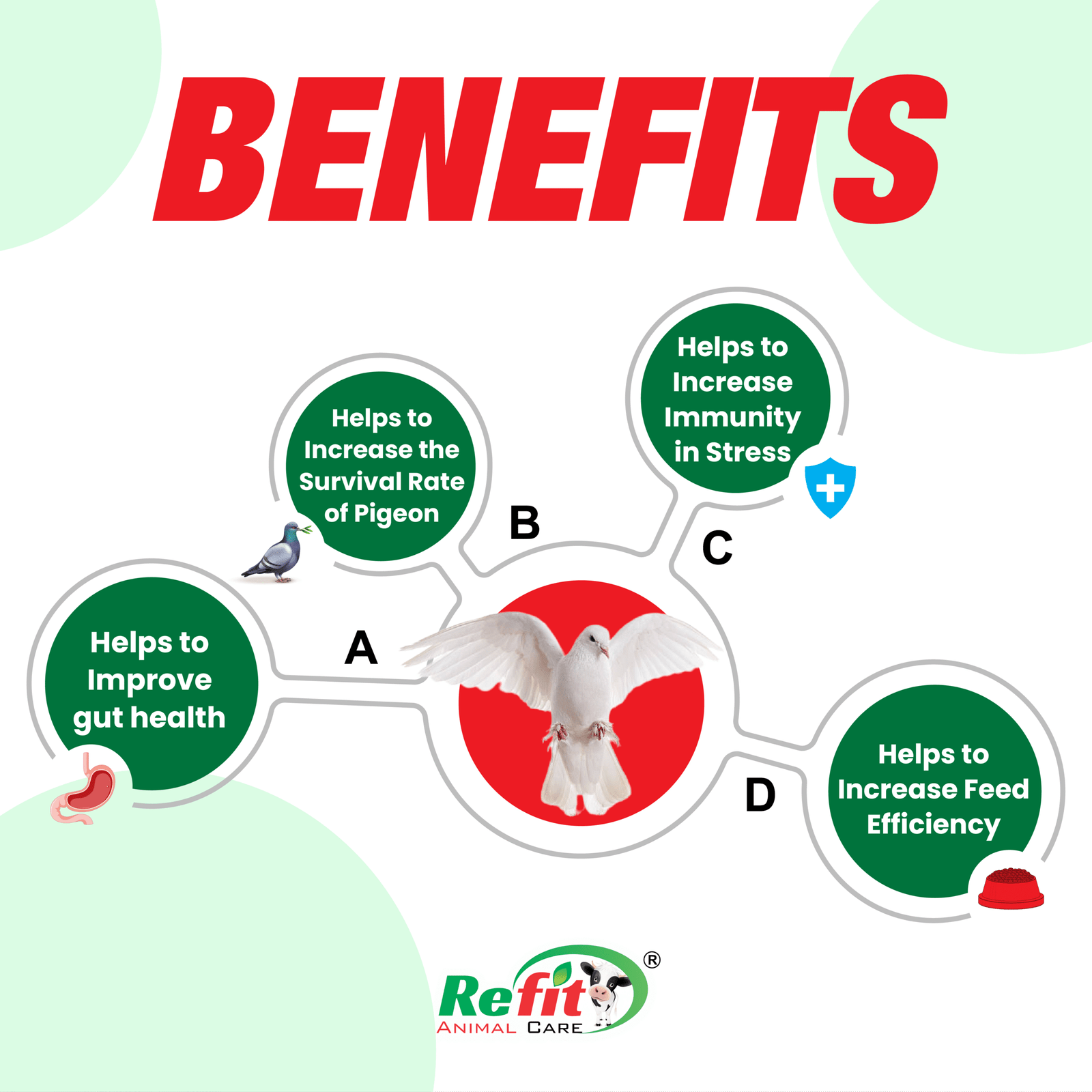 actipigeon benefits scaled 1 1.png