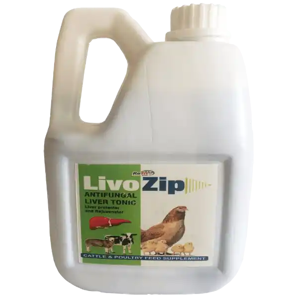 antifungal liver tonic for cattle 1536x1536 1 compress.webp