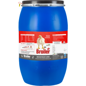 broiler 30kg