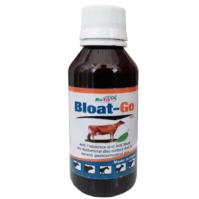 cattle bloat medicine 1536x1536 1.webp