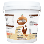 coccidine 5kg