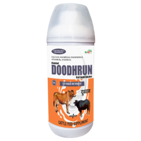 doodhrun1
