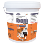 doodhrun10