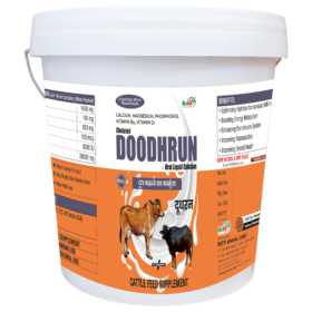 doodhrun10