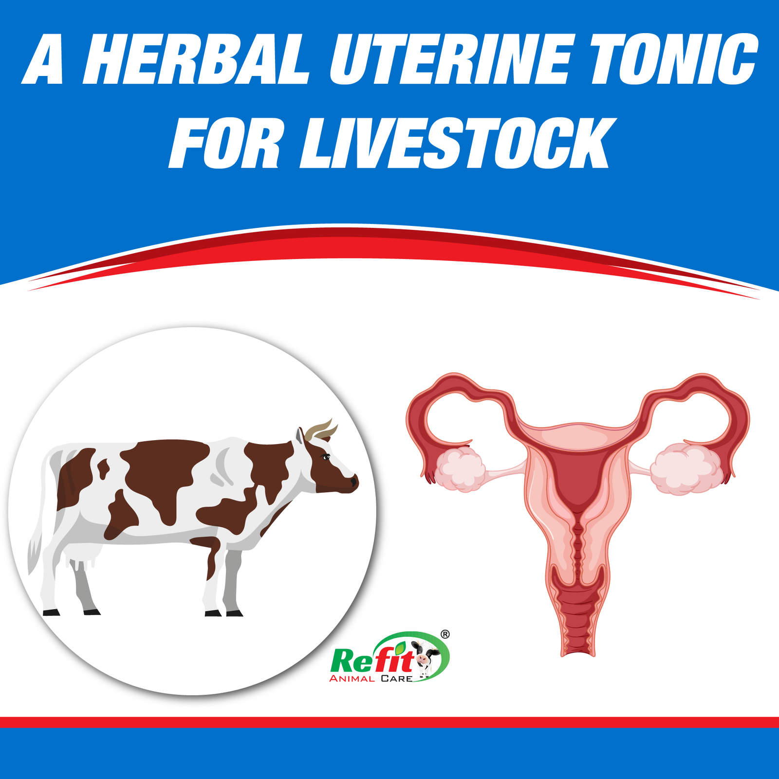 dr uterine whychoose.png