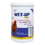 electrolyte tablets supplement.webp