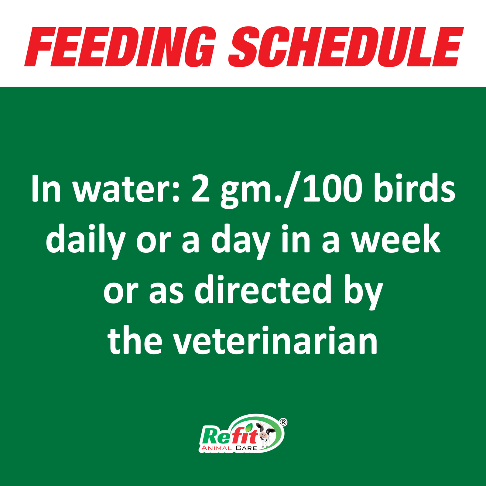 feeding actipigeon scaled 1 1.png