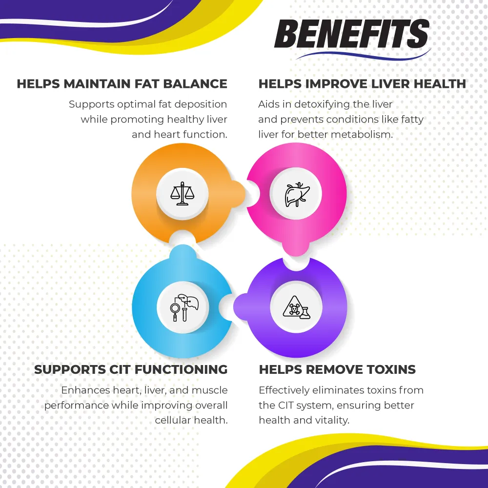 metarol benefits.webp