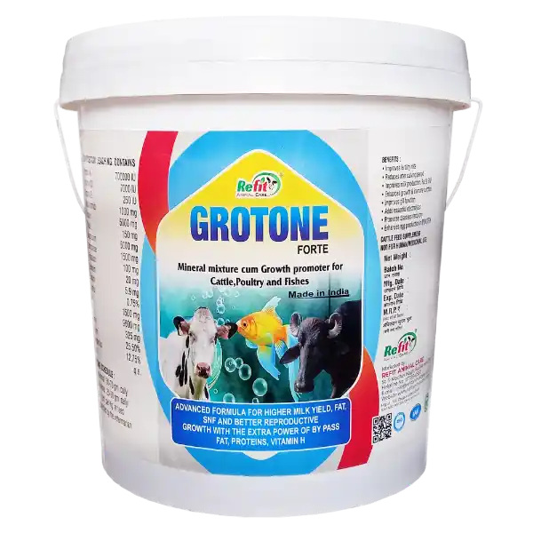 mineral mixture for cattle e1647254490344.webp
