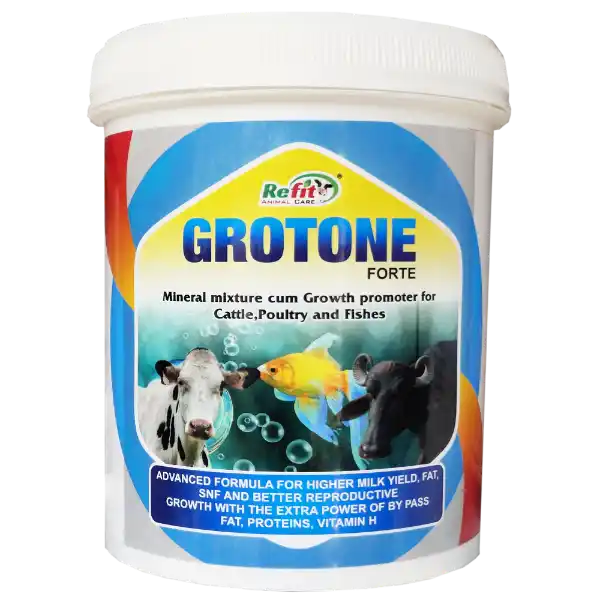 mineral mixture for cow.webp
