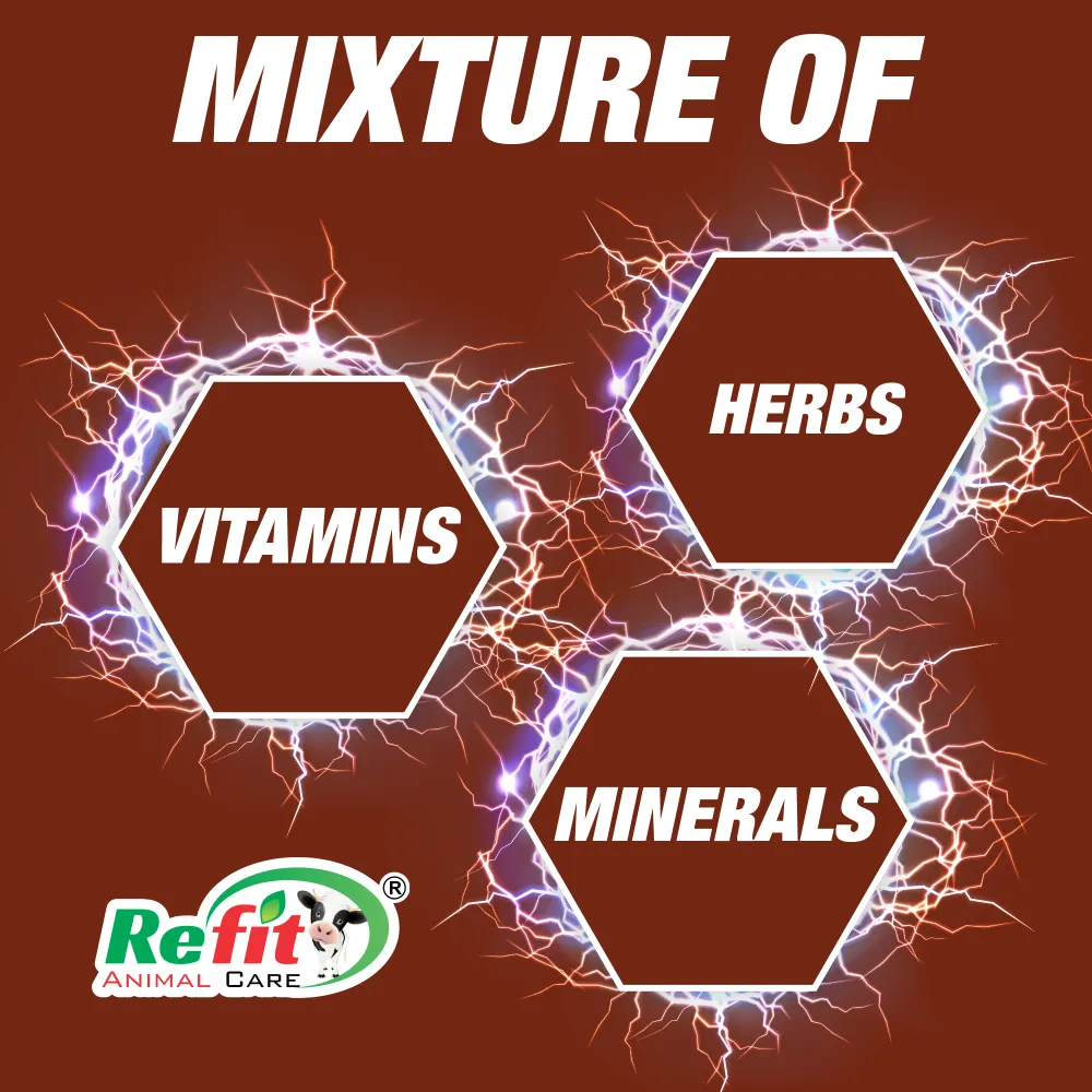 rbooster ingredients.webp