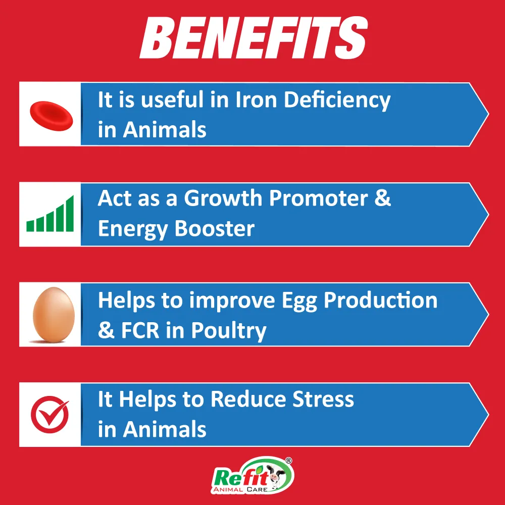 referrol benefits.webp