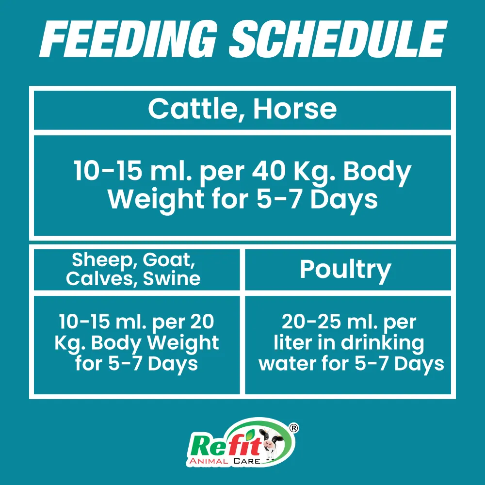refigest feeding.webp