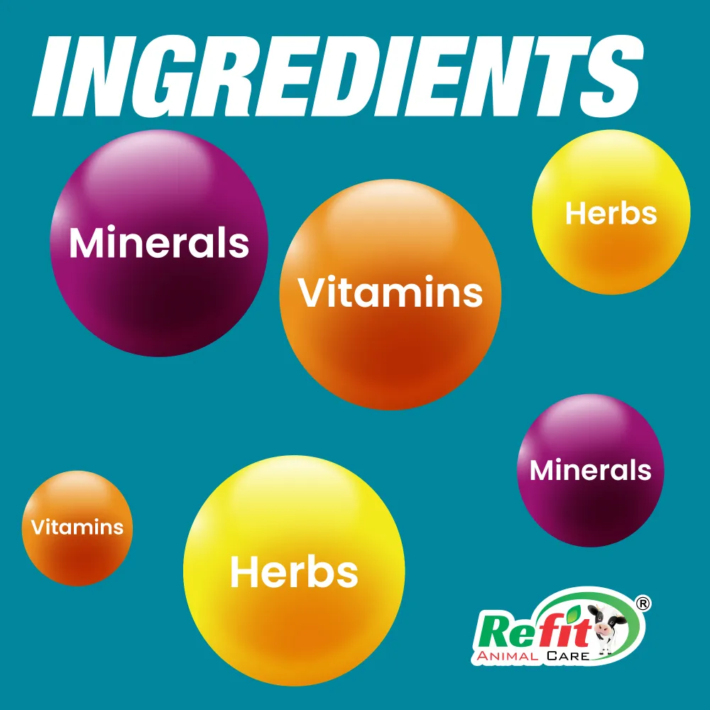 refigest ingredients.webp
