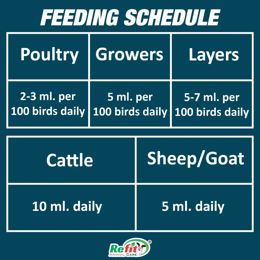 revita b12 feeding.webp