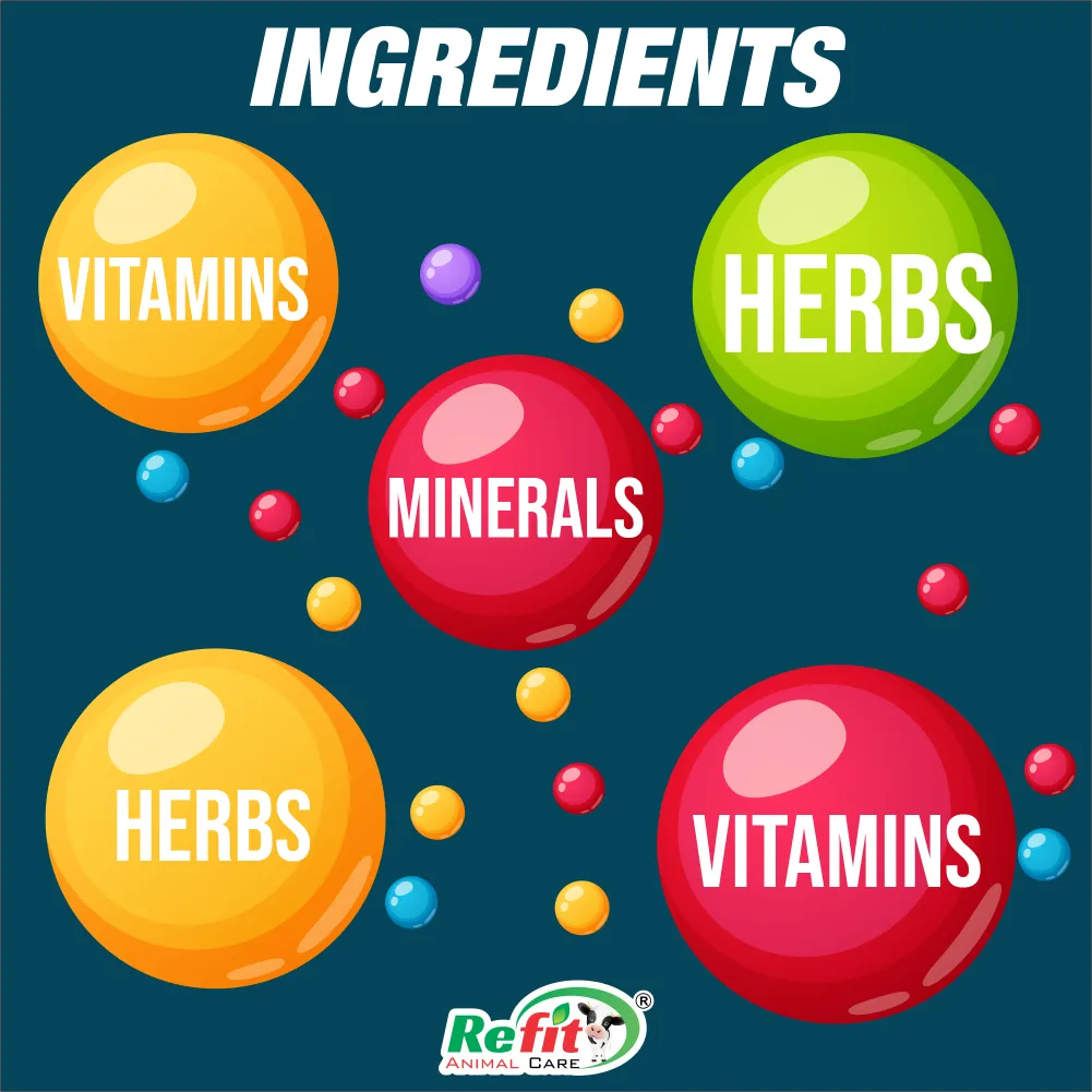 revita b12 ingredients.webp