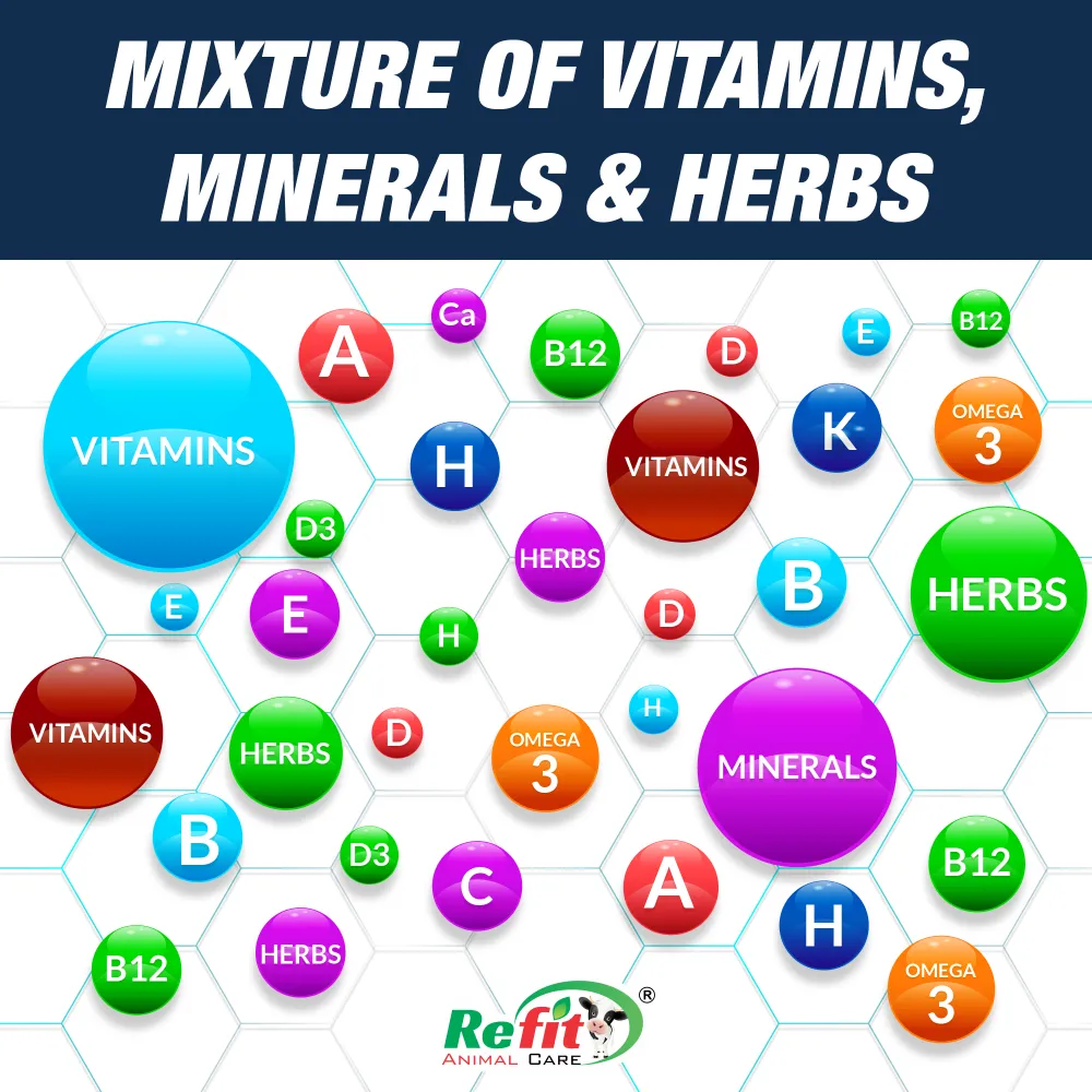 rigmin ingredients.webp