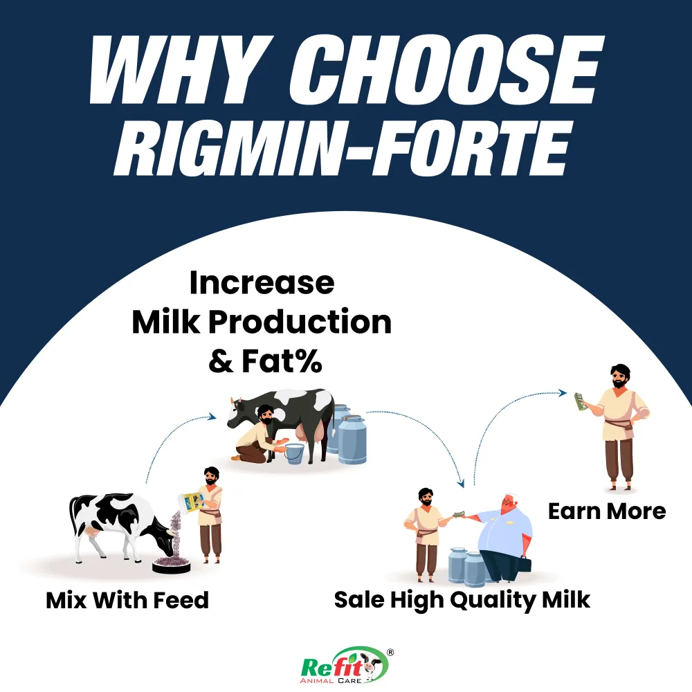 rigmin whychoose.webp
