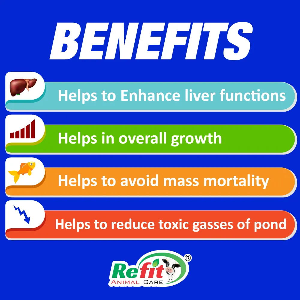 sealiv xl benefits.webp