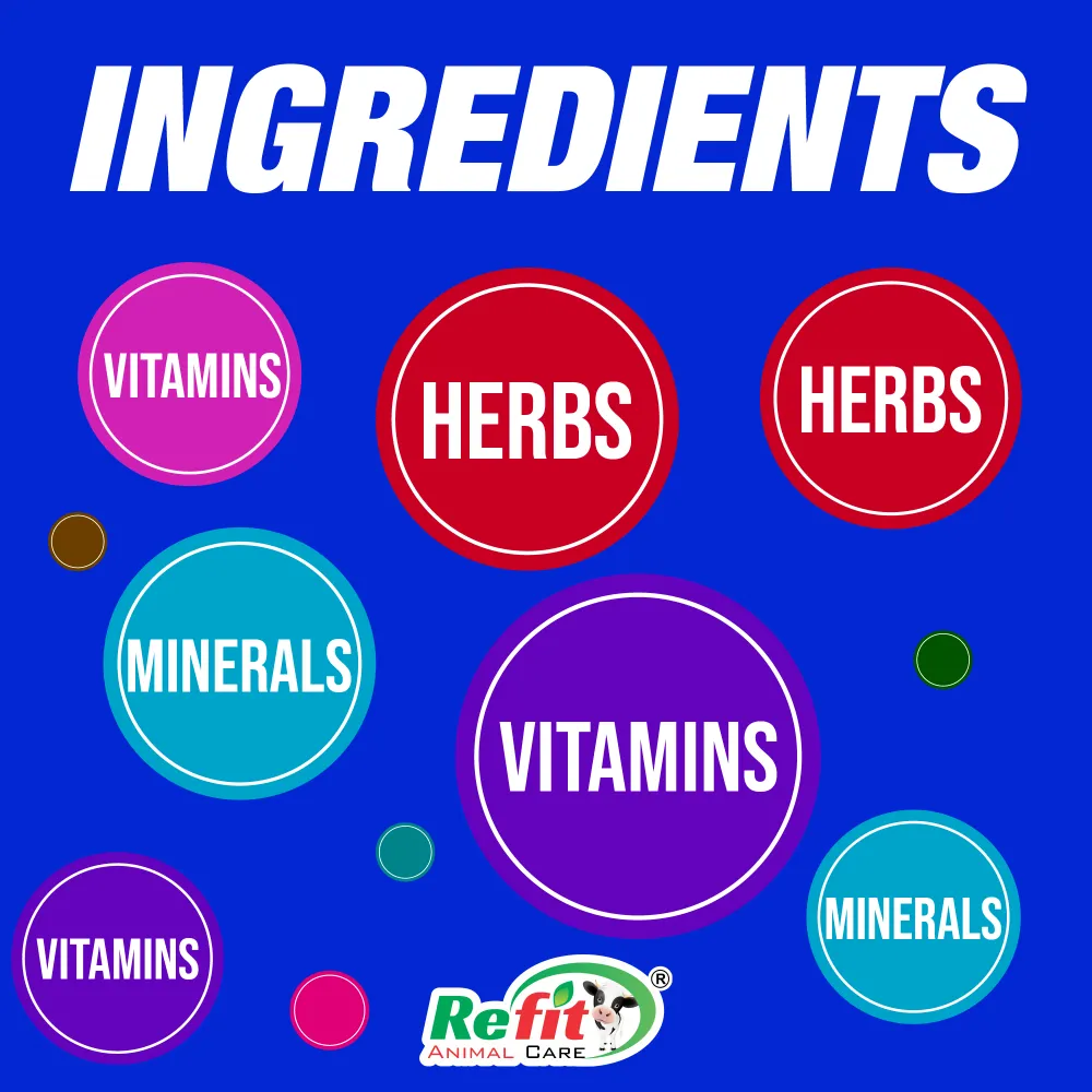 sealiv xl ingredients.webp